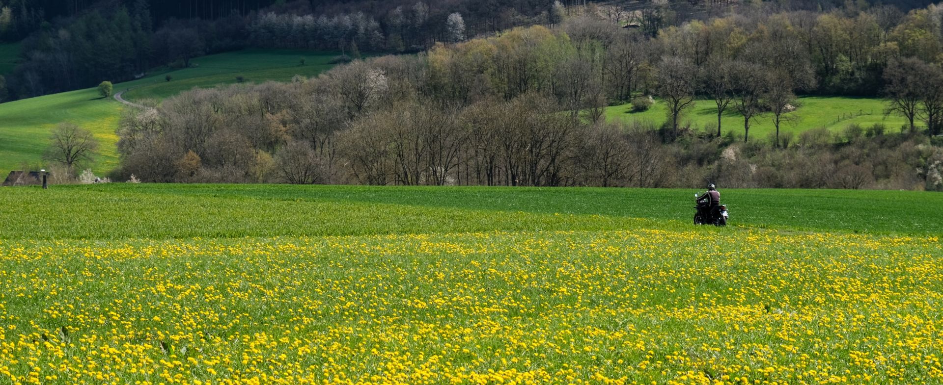 Sauerland - Germany