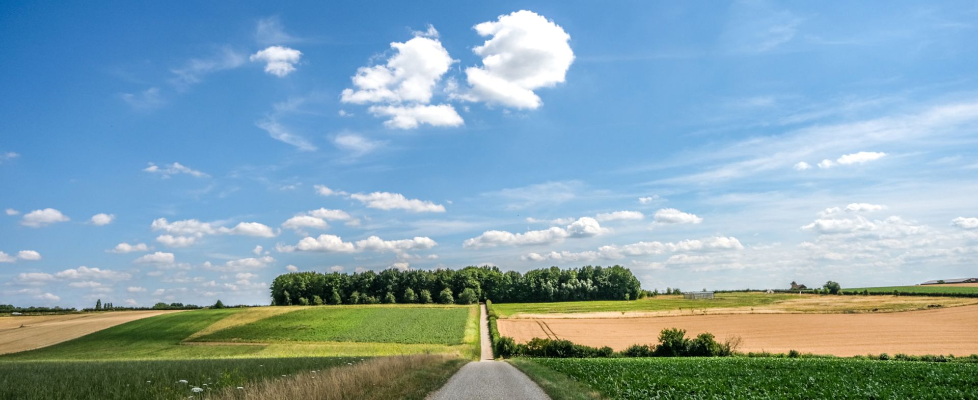 In the Dutch mountains & beyond