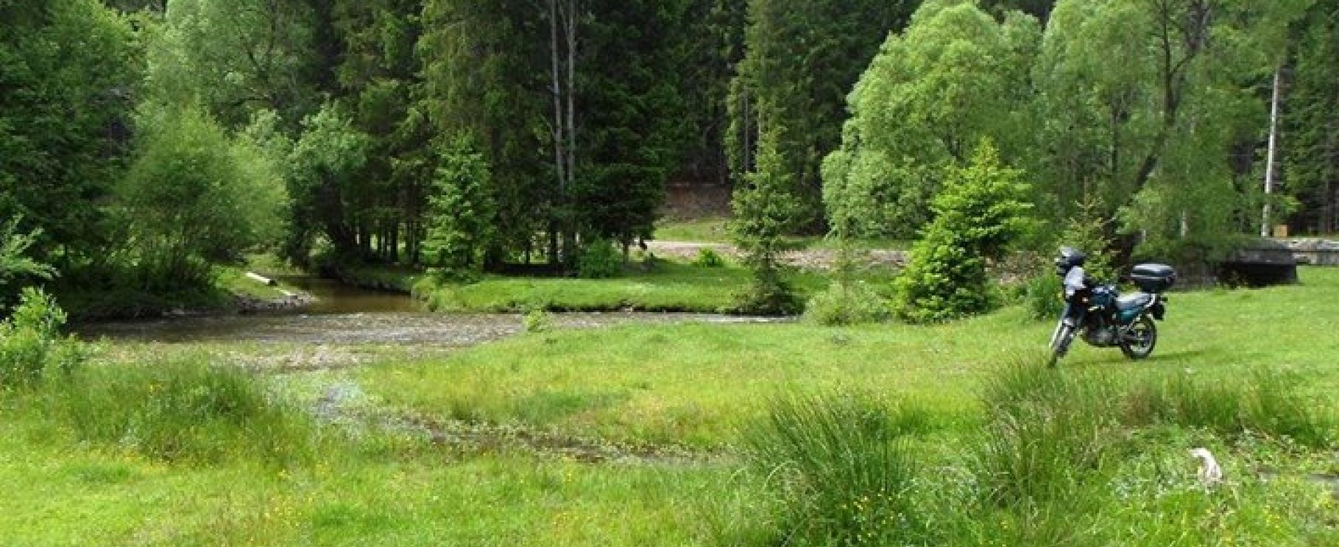 Bálint Géza