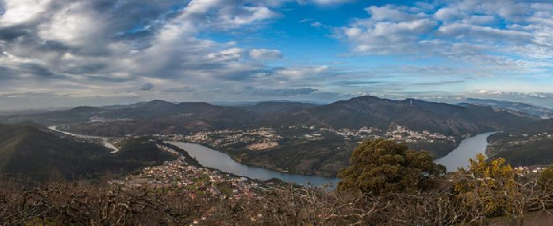 Marco Abreu