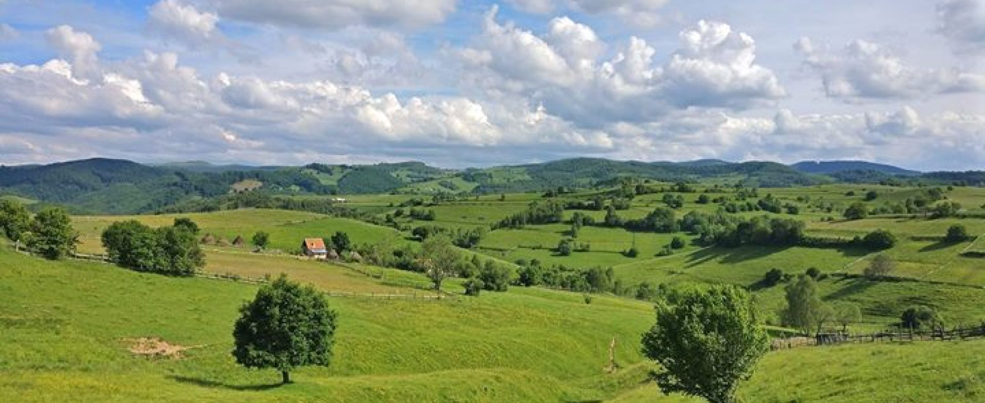 Pompei Sava