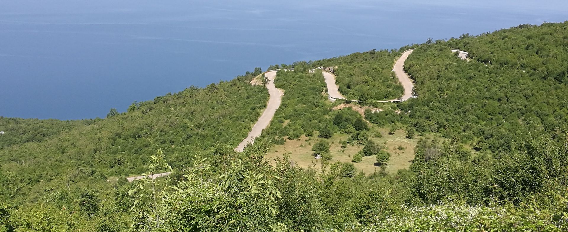 Sašo Pajer
