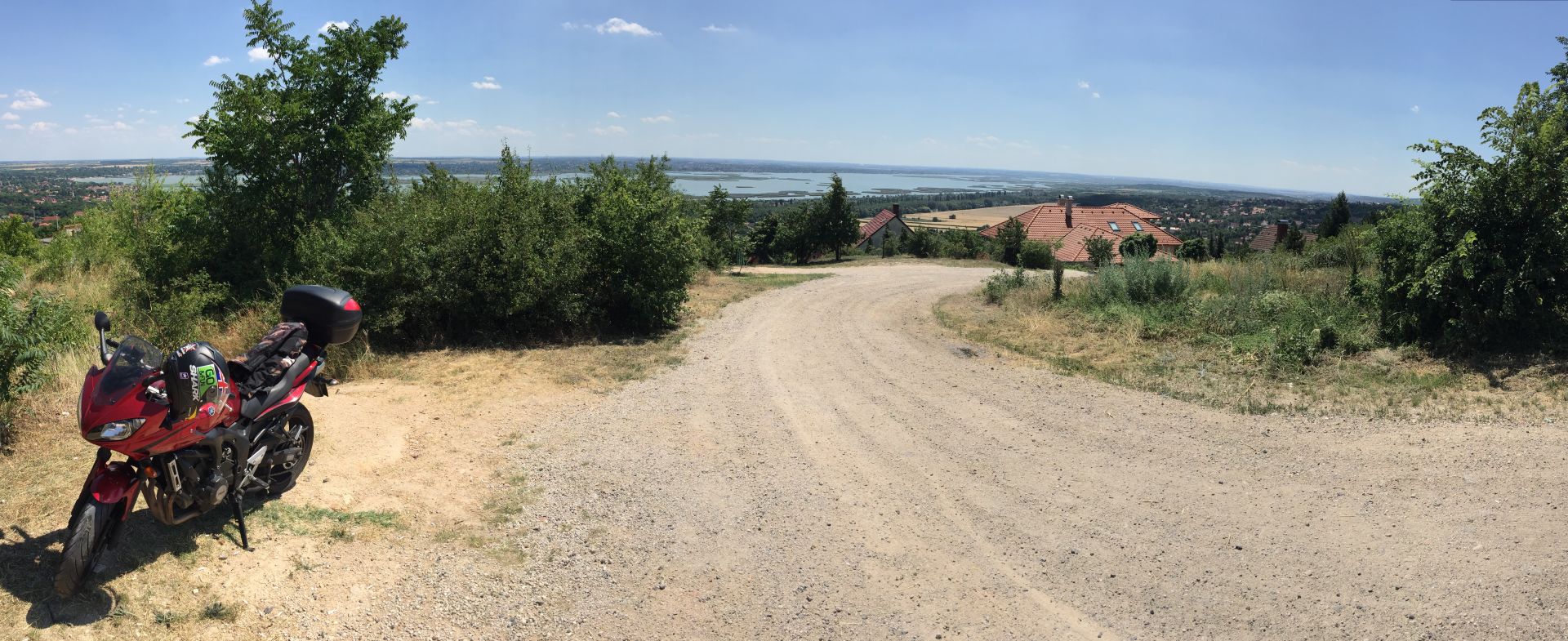 Miklós Molnár