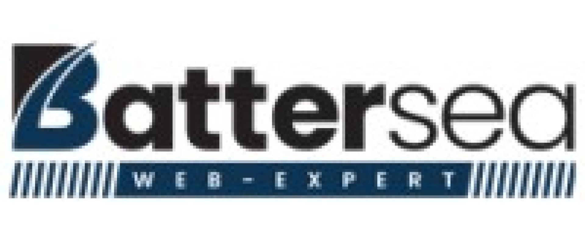 battersea webexpert