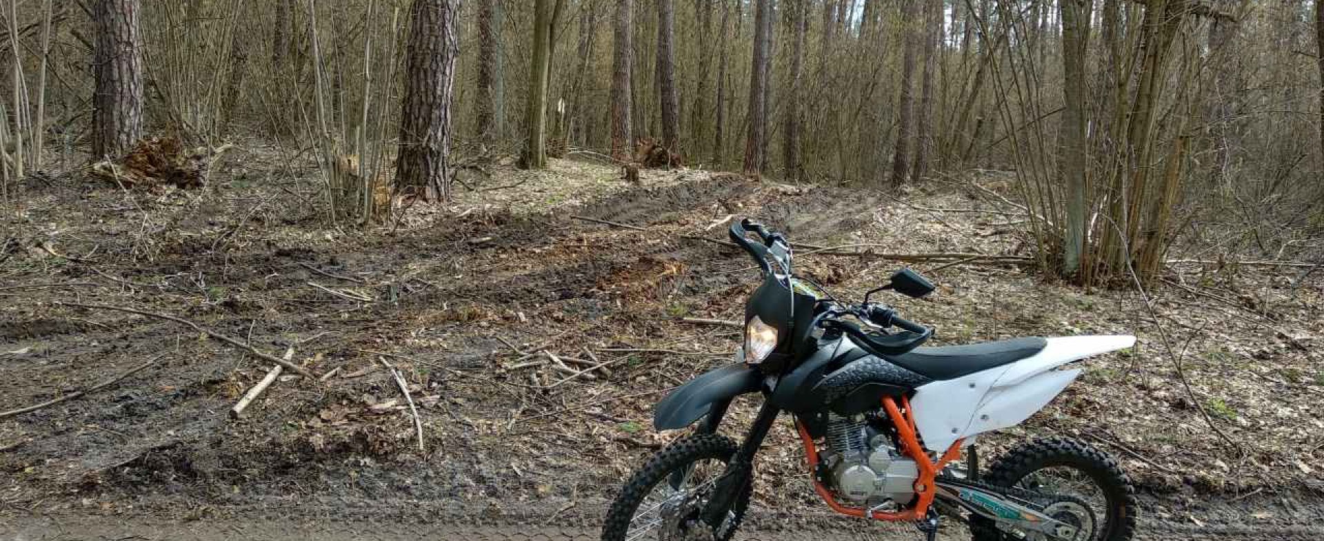 Offroad section in the Forest