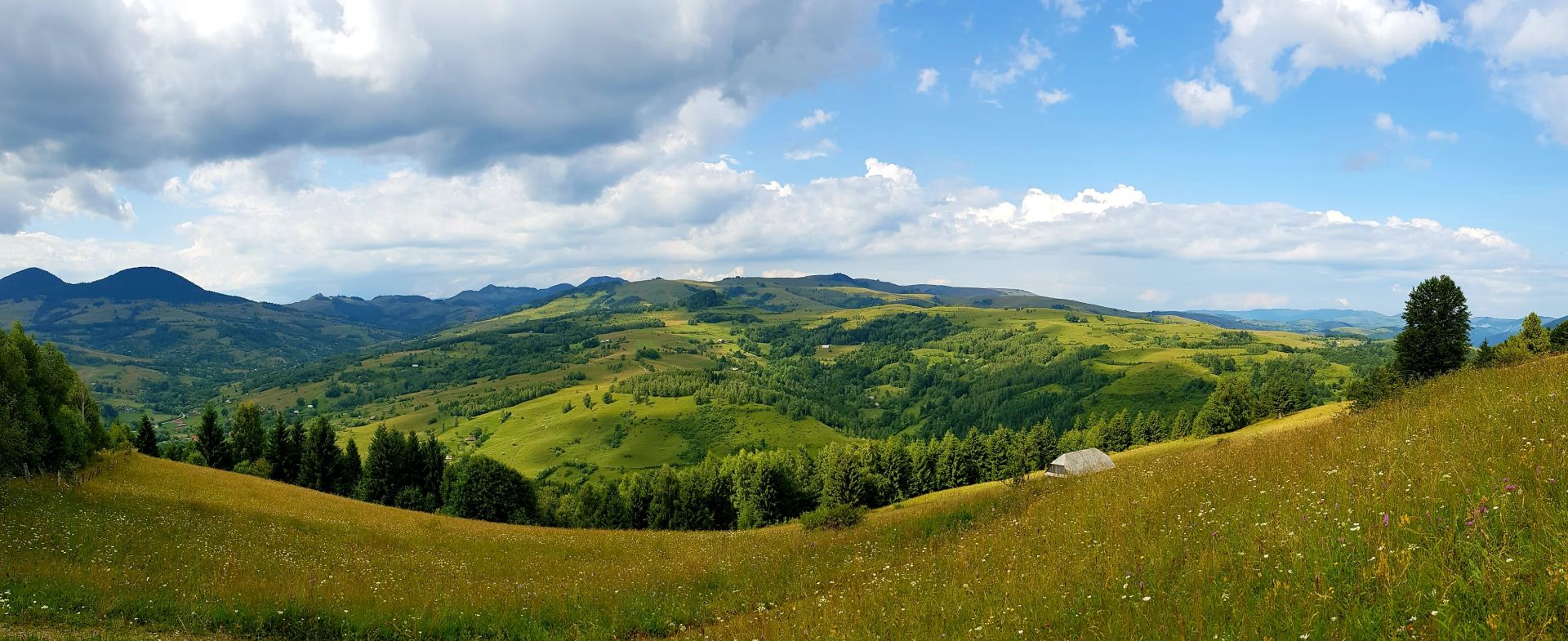 Mogosului Valley