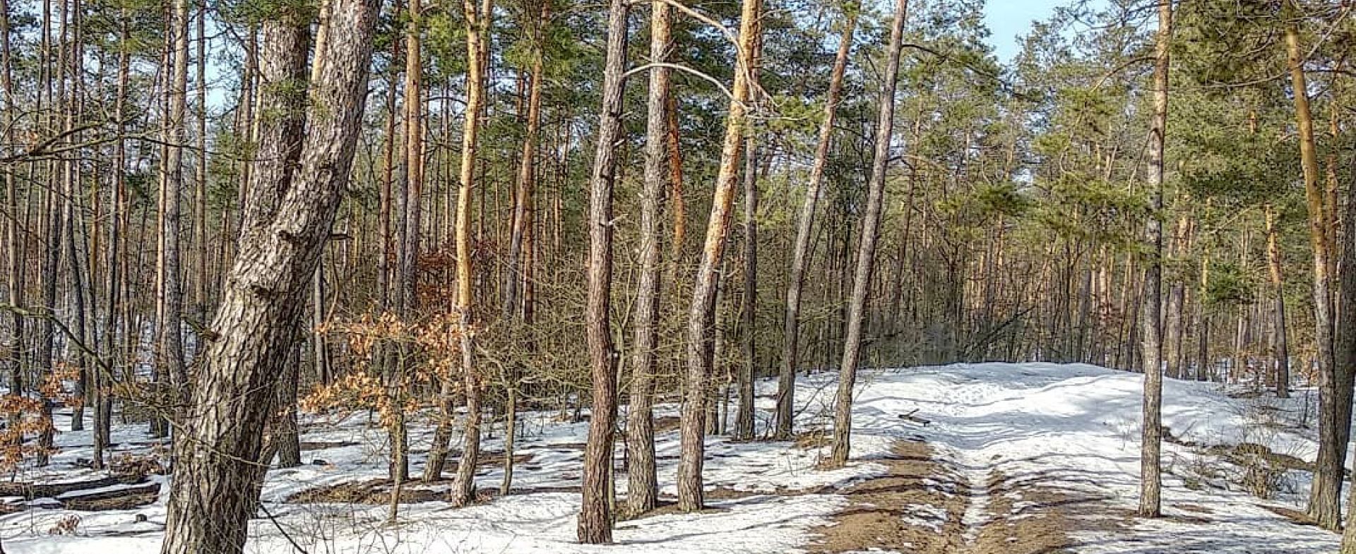 Puscha Vodytca Park