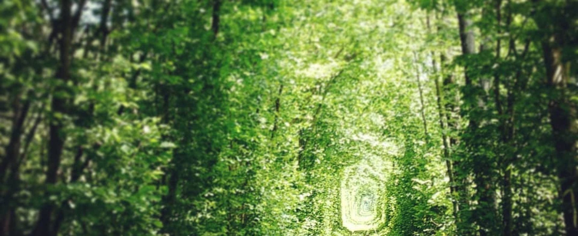 Tunnel of Love