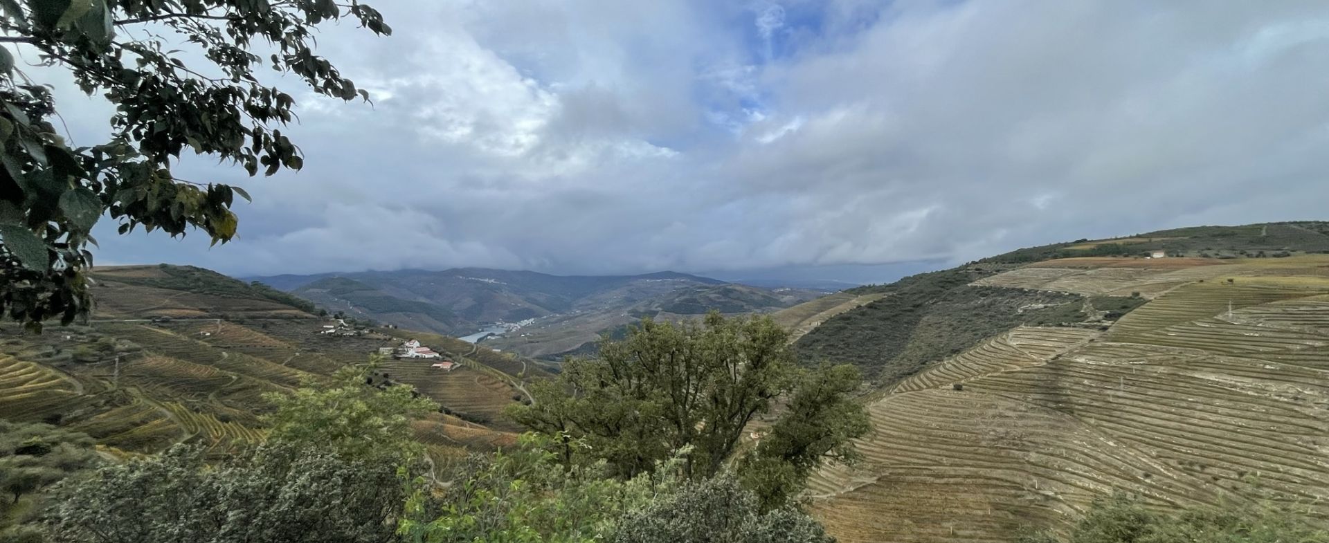 Miradoura da Abelheira