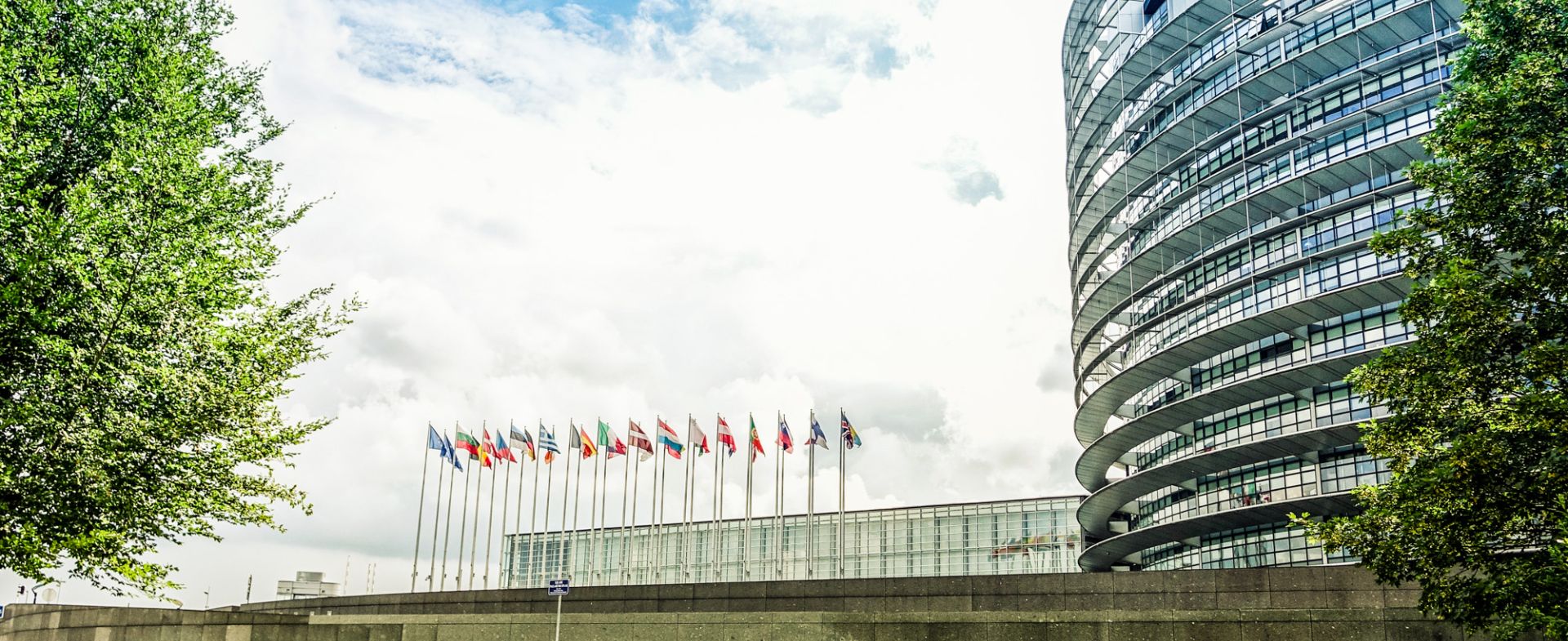 European Parliament