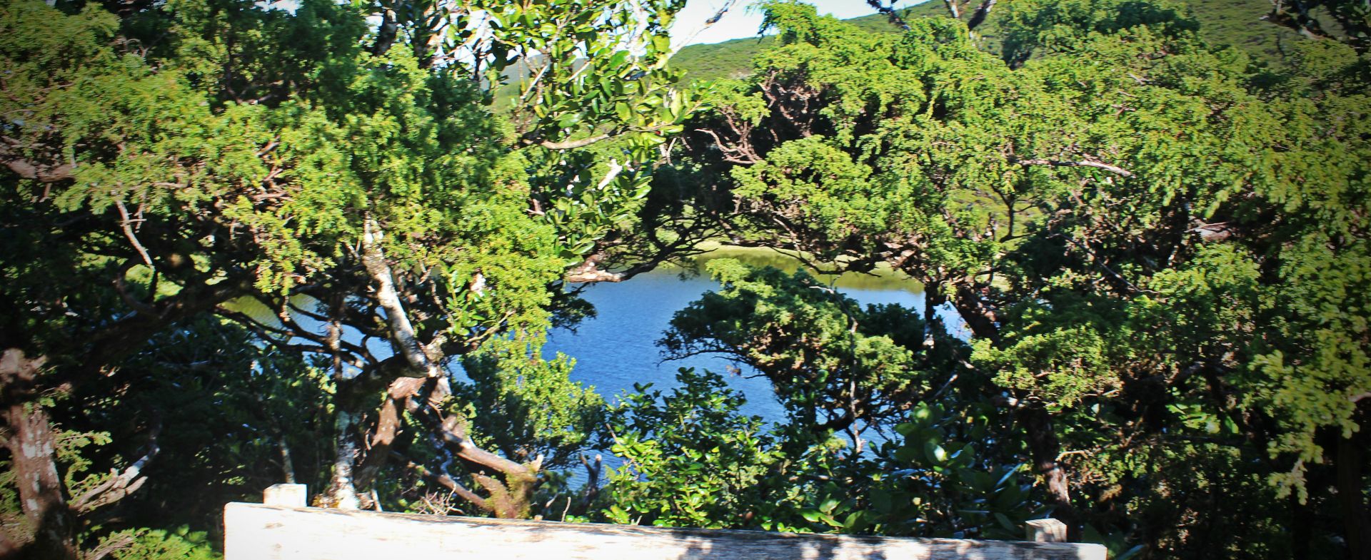Lagoinha 
