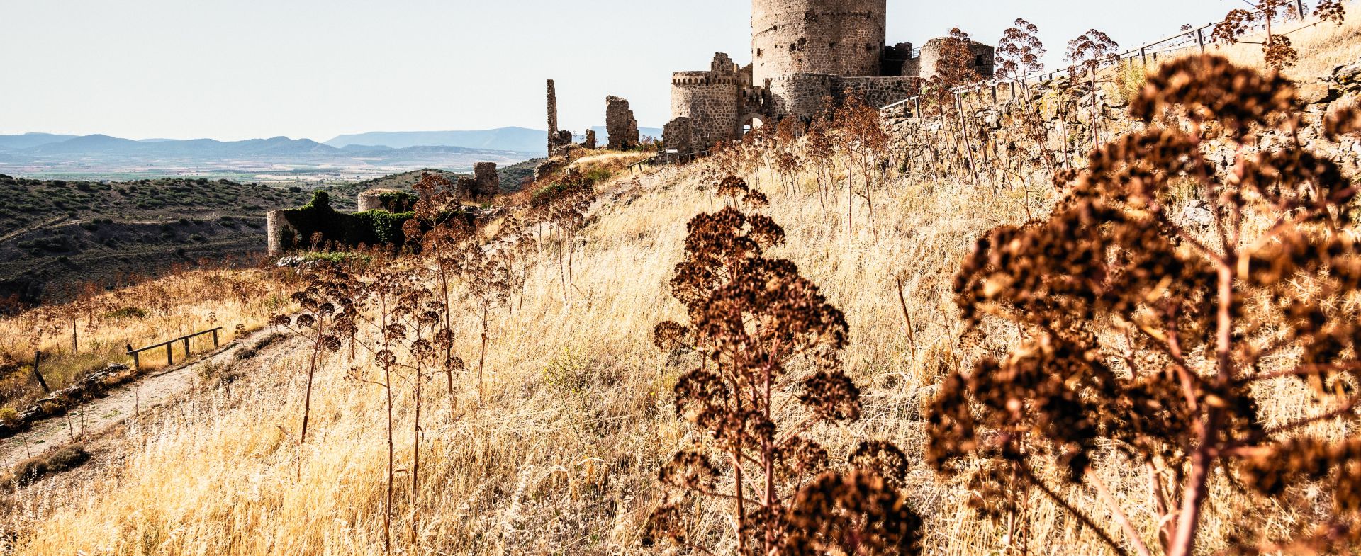 Castillo de Moya