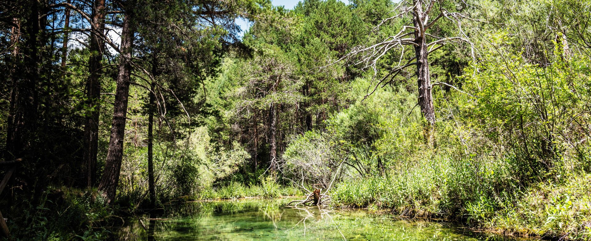 Source of the Cuervo River
