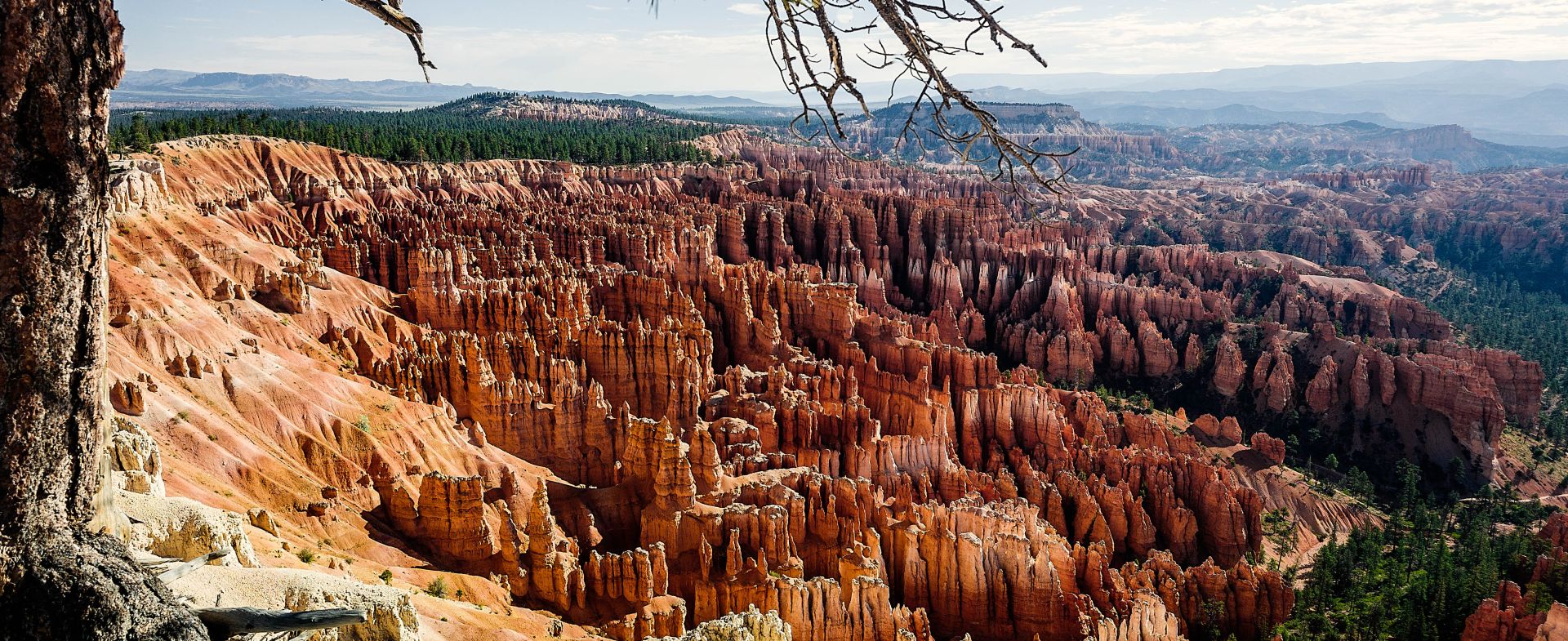 Bryce Canyon
