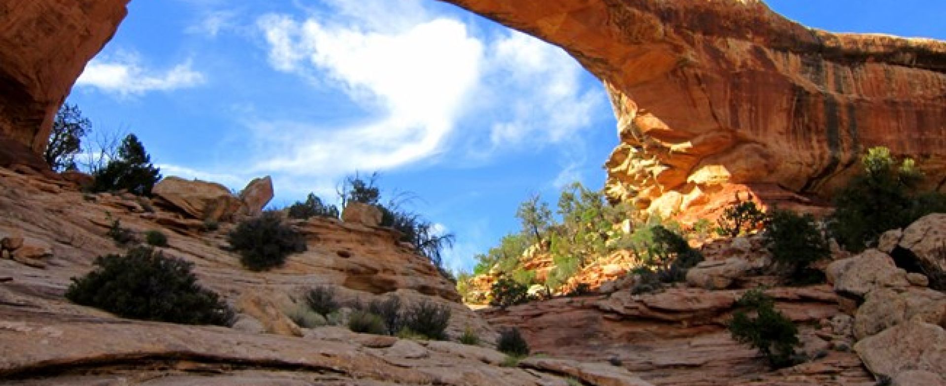 Natural Bridges National Monument