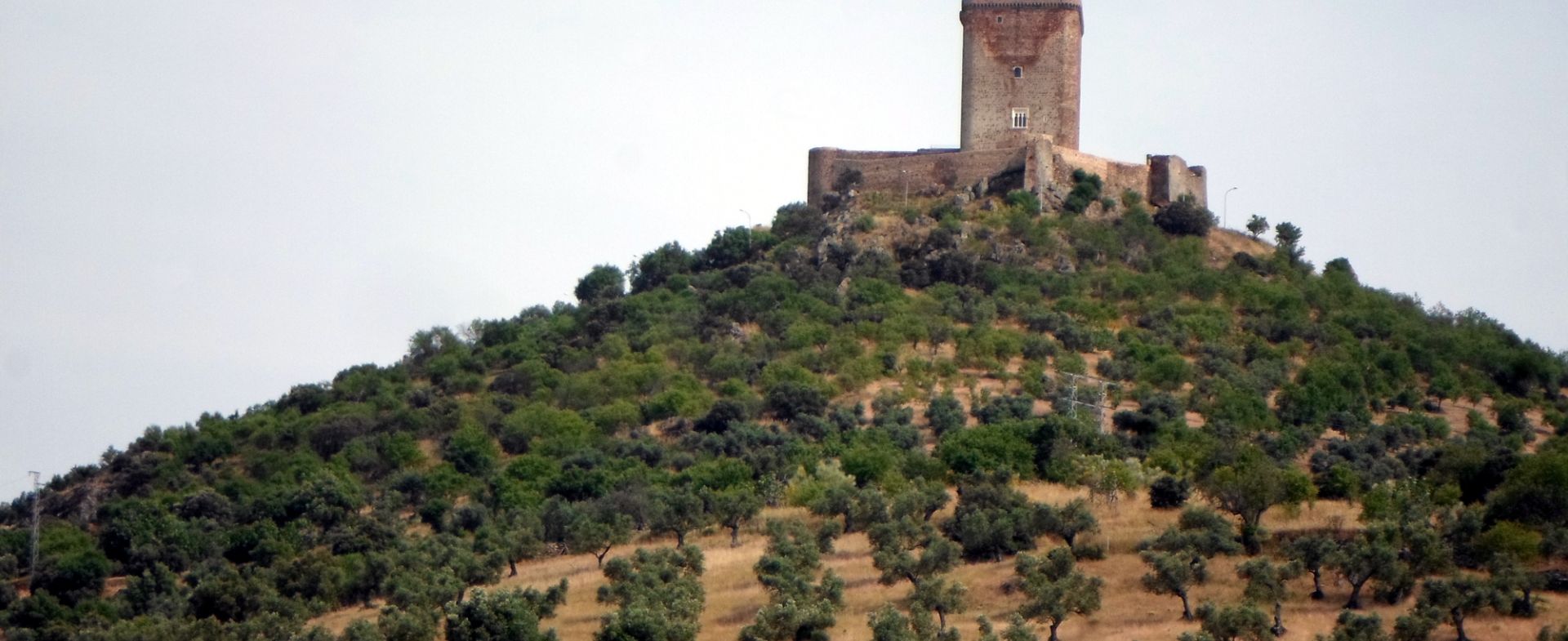 Castillo Feria