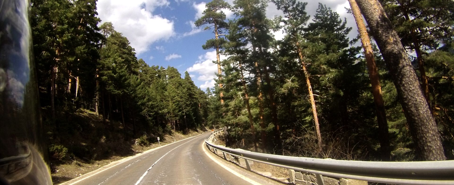 Navacerrada Pass - Pine Forest