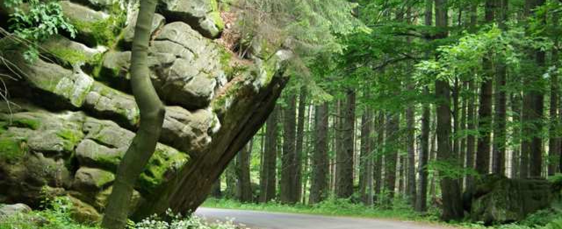 100th Turns Road