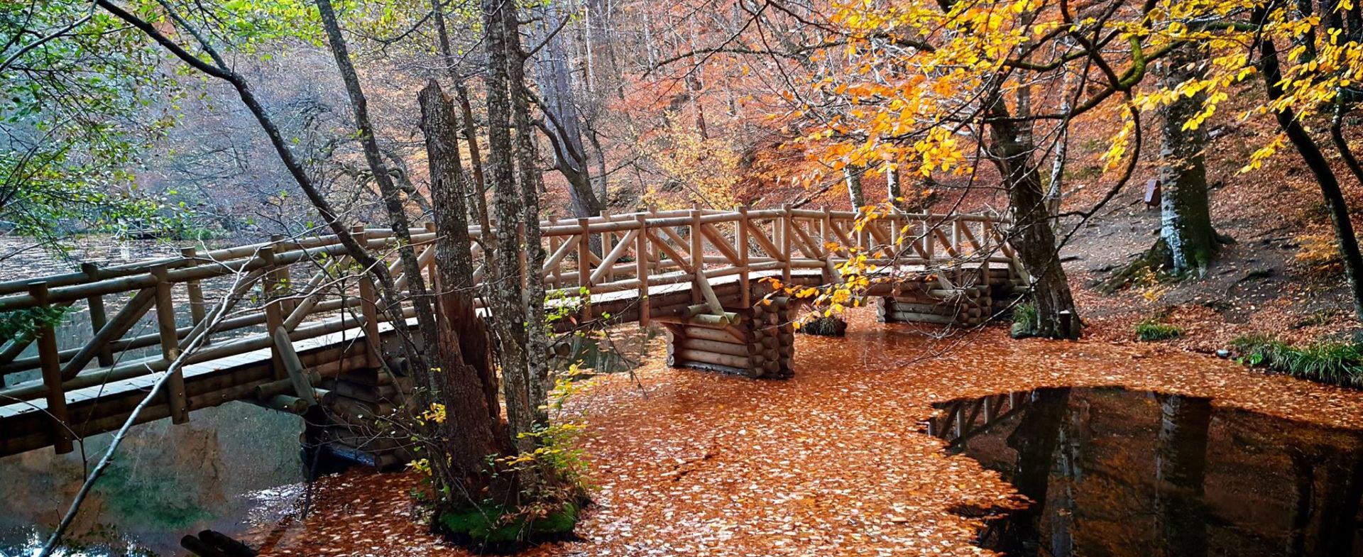 Yedigöller Yolu - Seven Lakes National Park