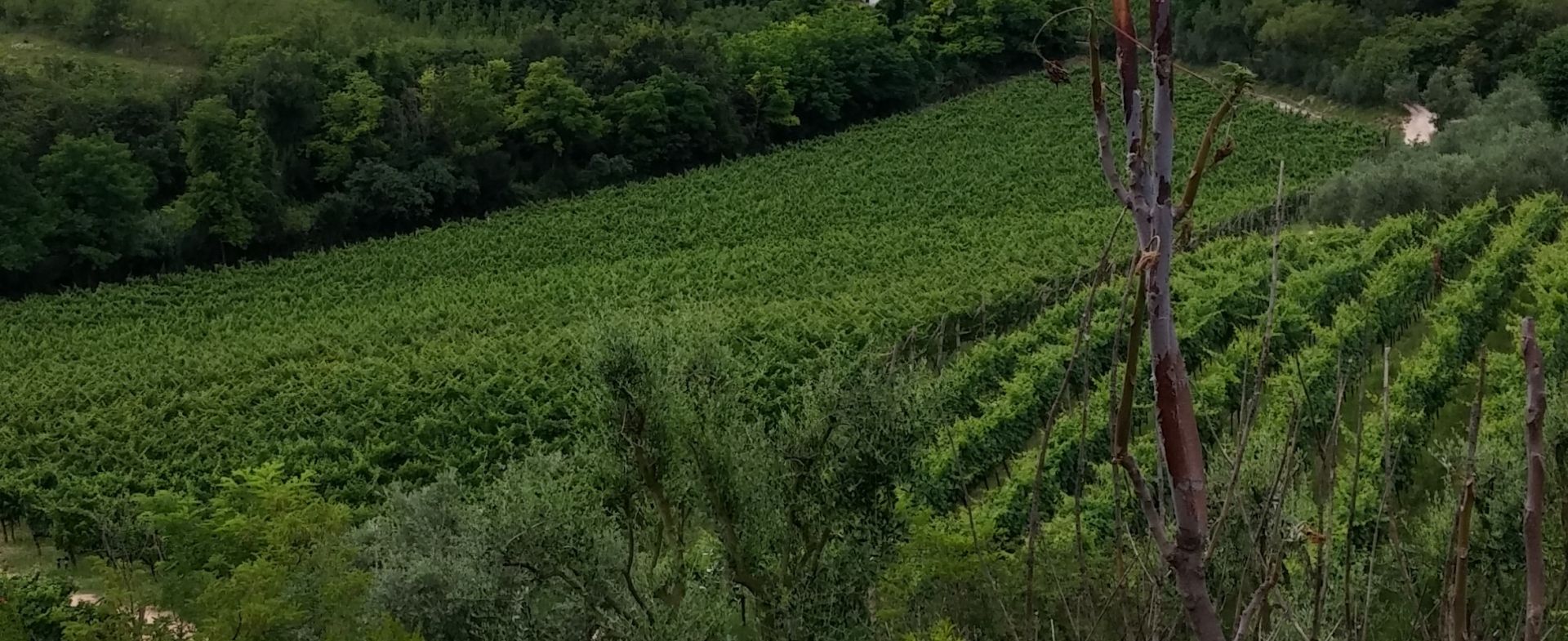 Peschiera-Verona-Soave