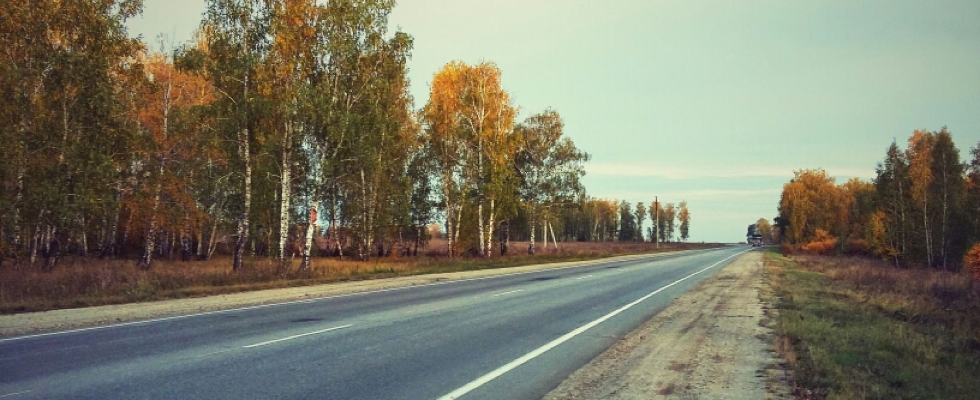 The road home