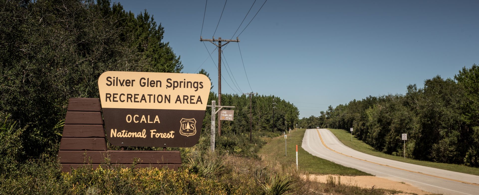 Ocala National Forest / Silver Glen Springs