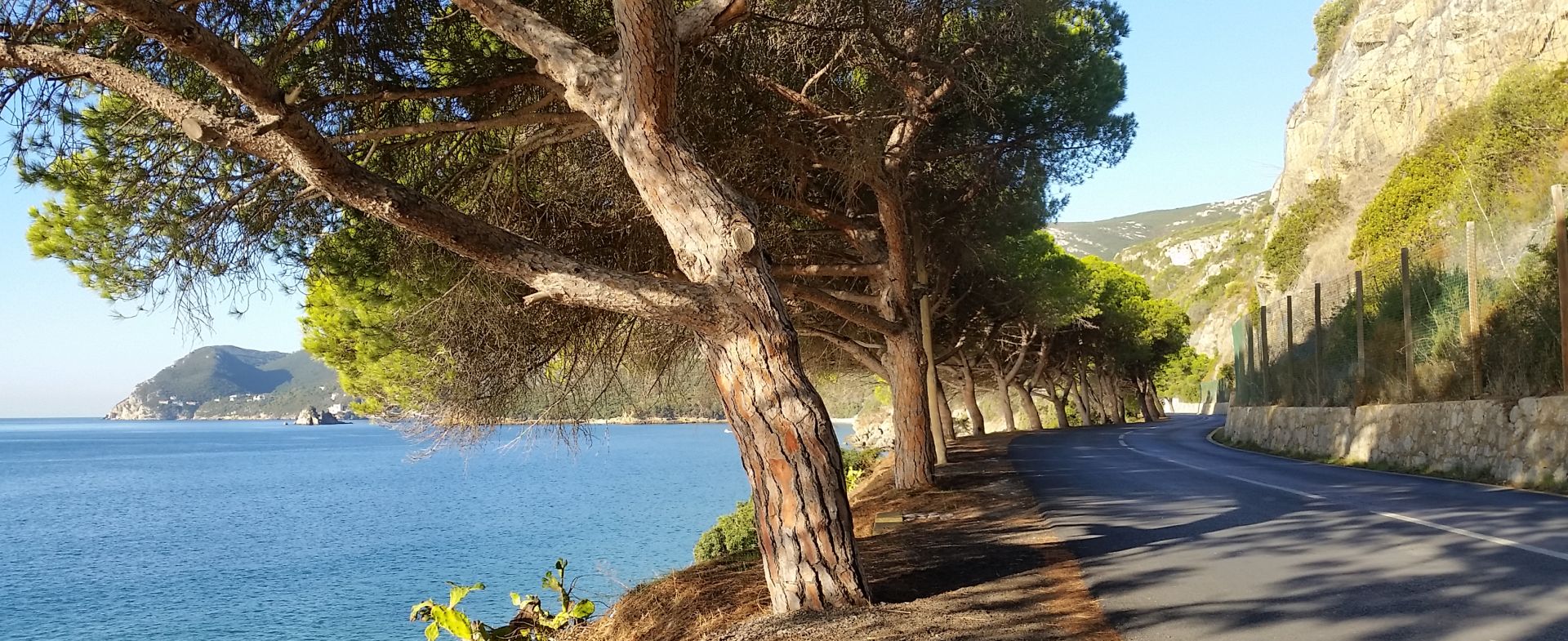 Arrabida Bottom Road