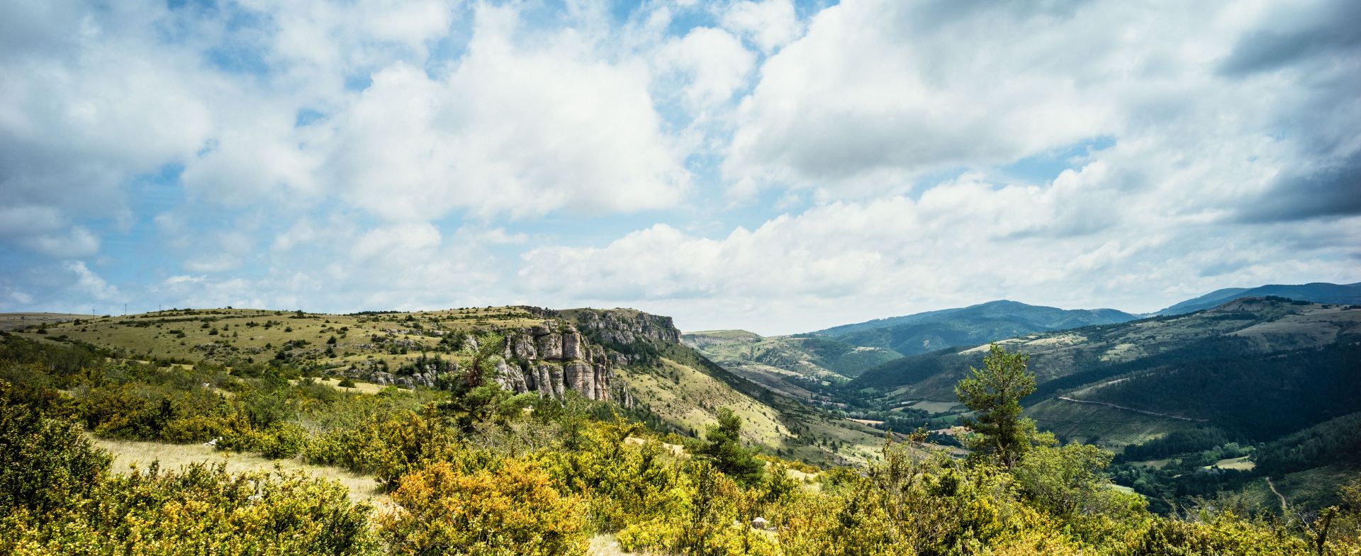 Causse Méjéan, South