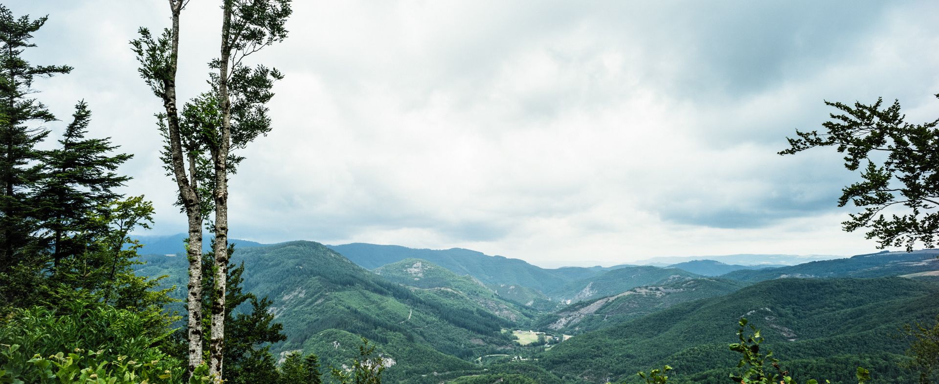 D12, Col de la Croix de Mounis - Brusque