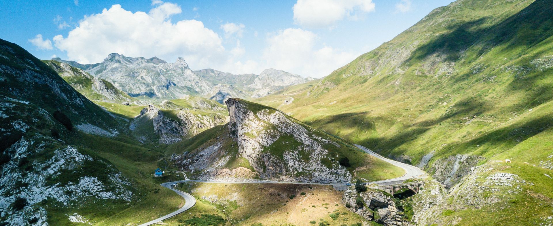 half pyreneen to antwerp