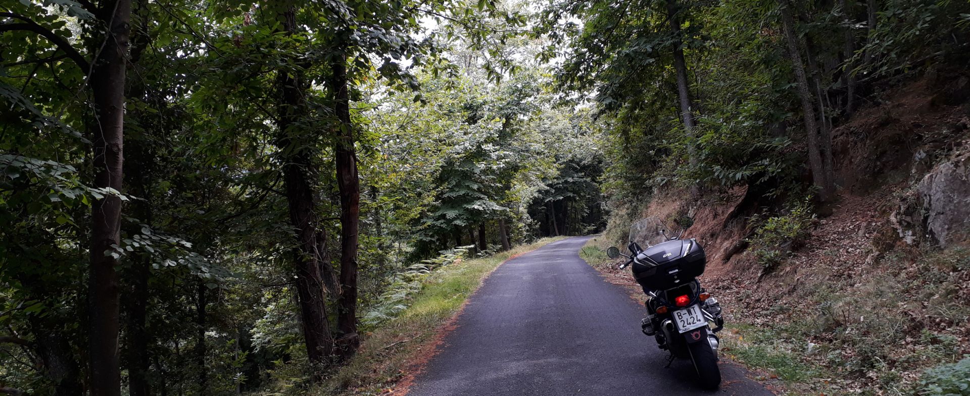Ruta exilio Guerra Civil (pista forestal)