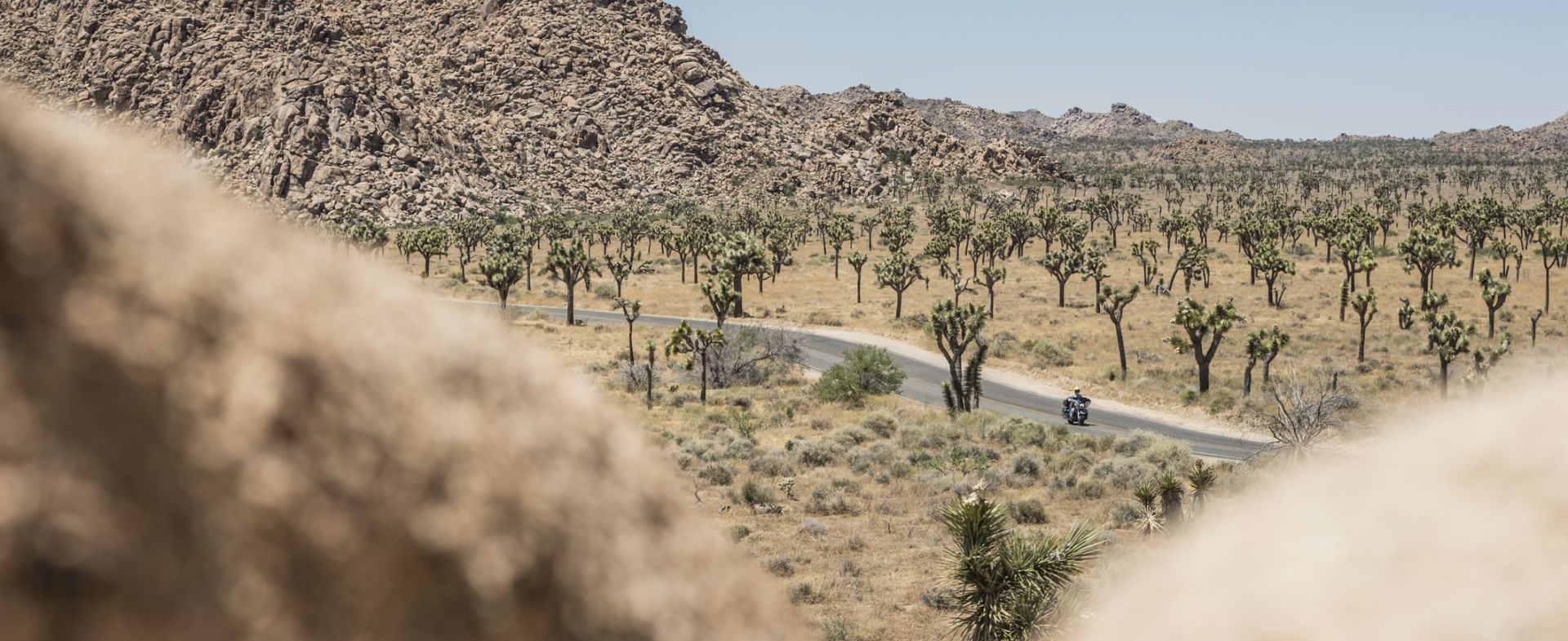 Joshua Tree National Park