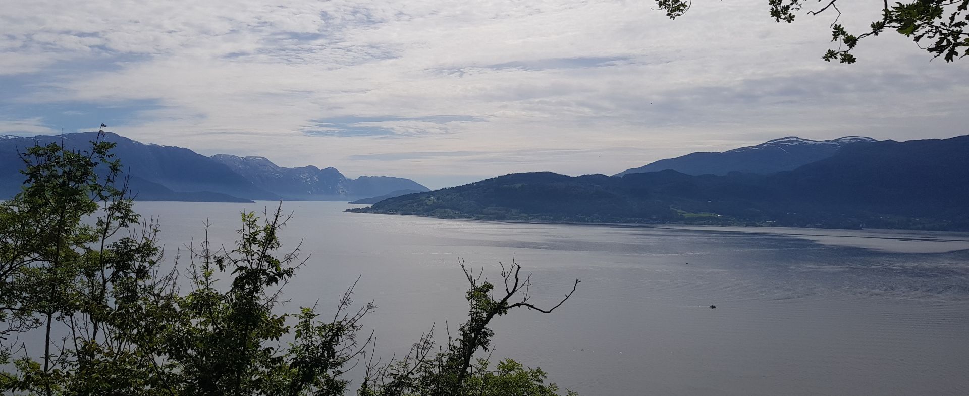 Hardangerfjord