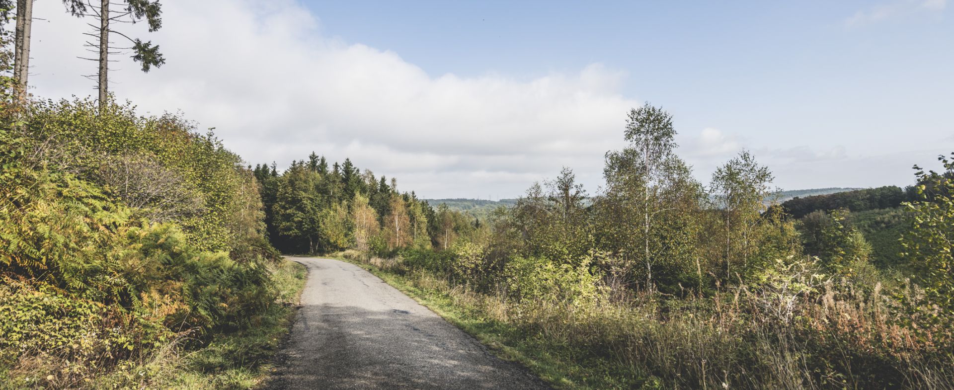 French Ardennes