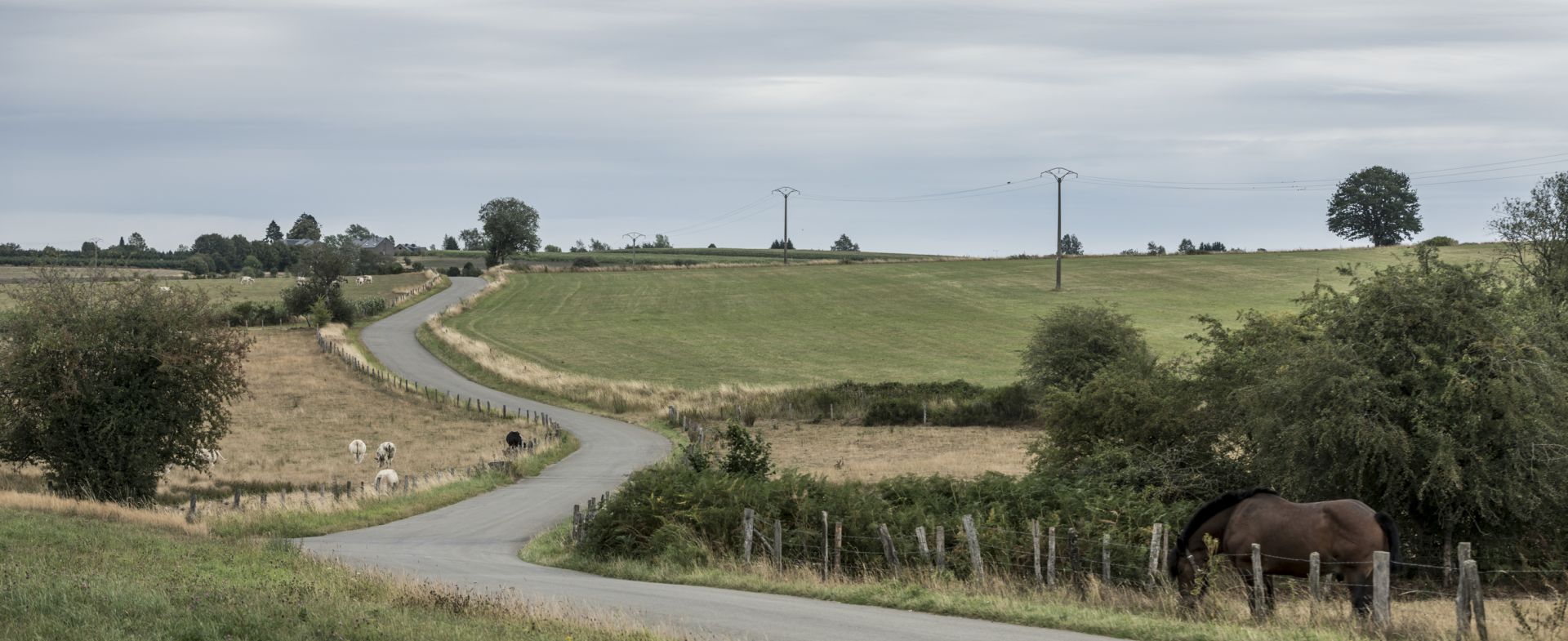 Route de Jéhonville