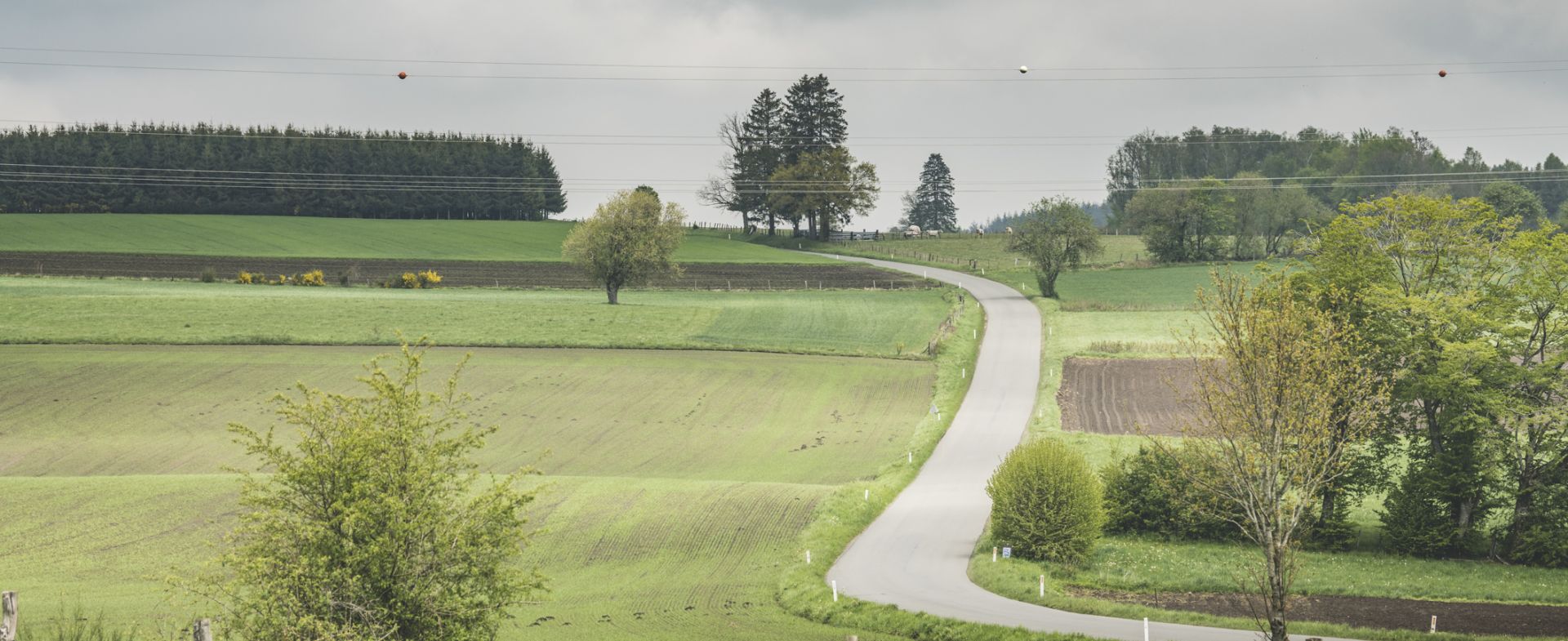 Tournay - Route du Pétrai