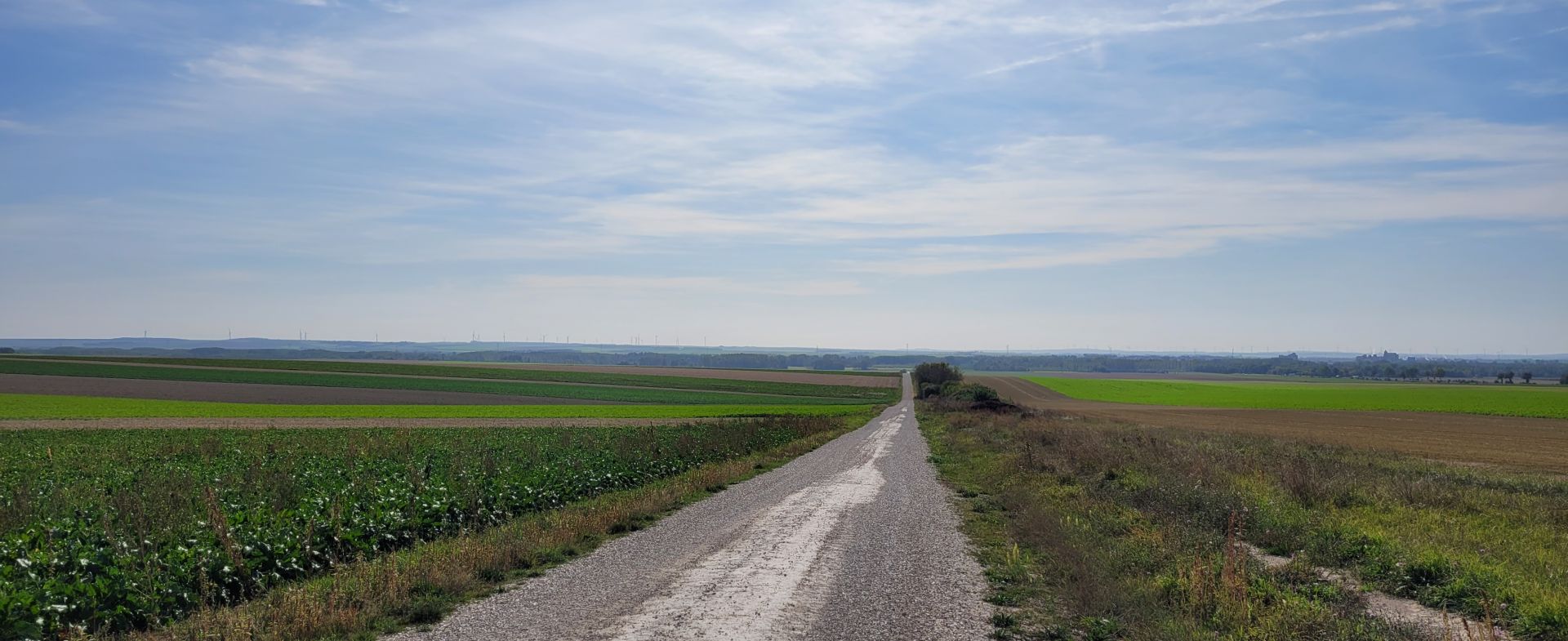 route sans nom