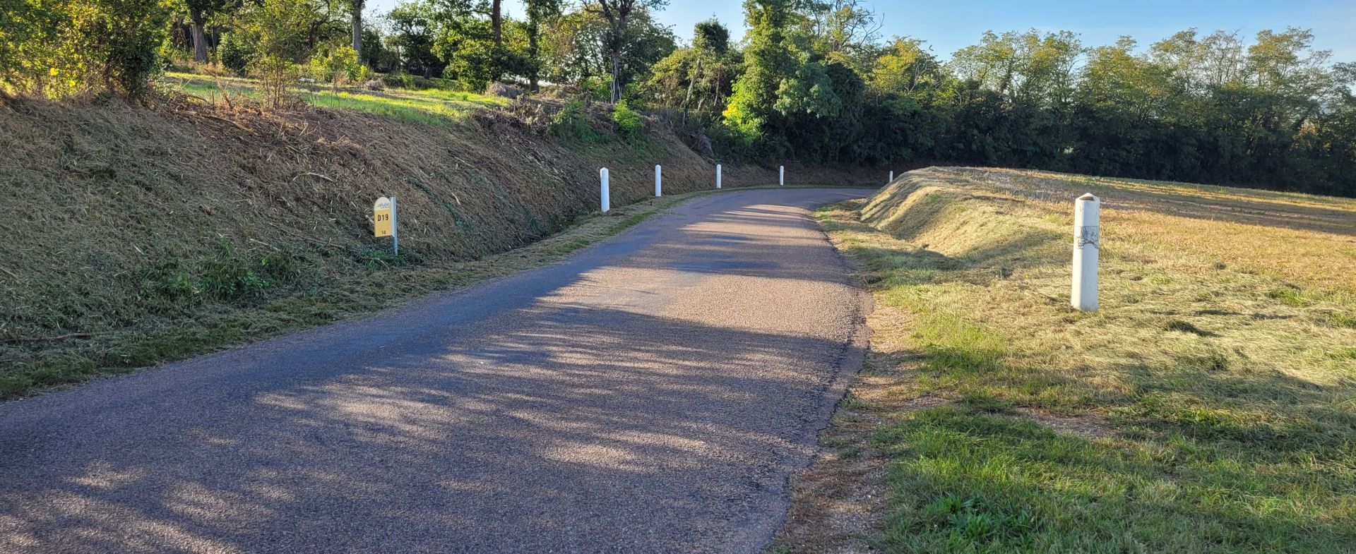 D169