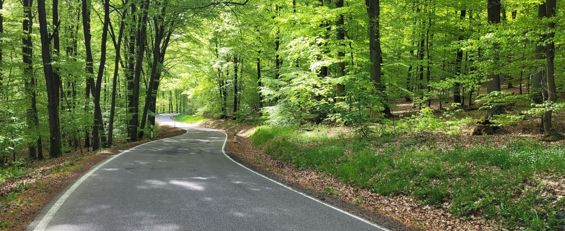 Unnamed road