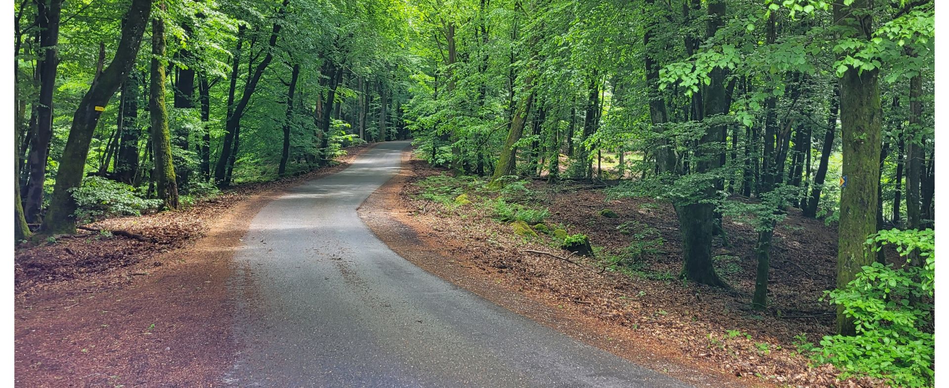 Unnamed road
