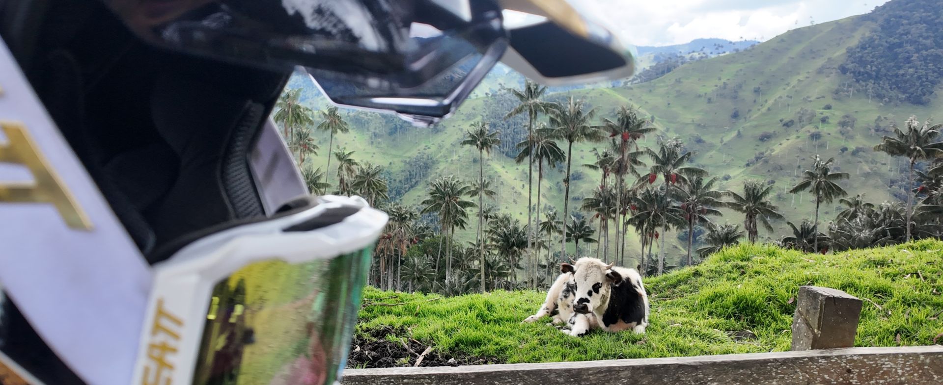 Valle de Cocora
