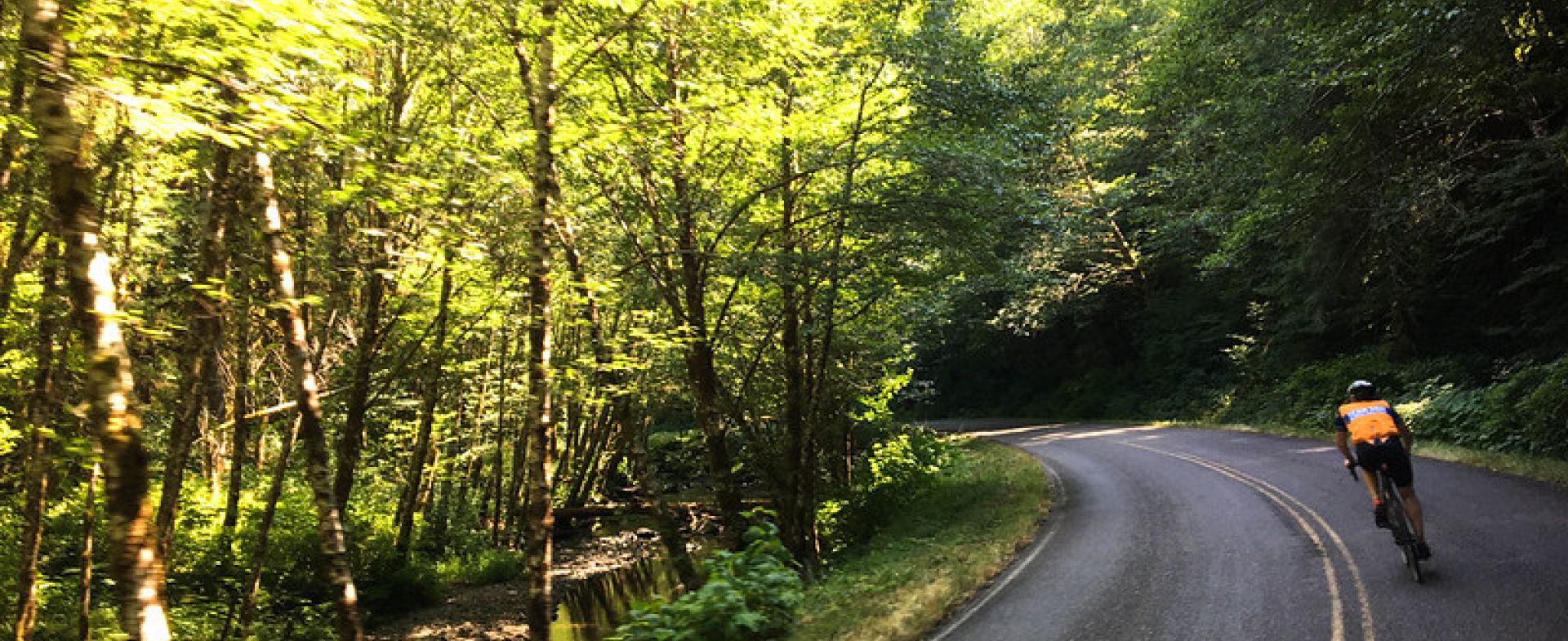 Nestucca River Road