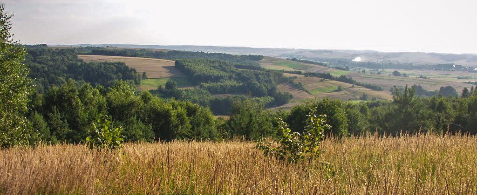 Northern Roztocze Road DK74/DW858
