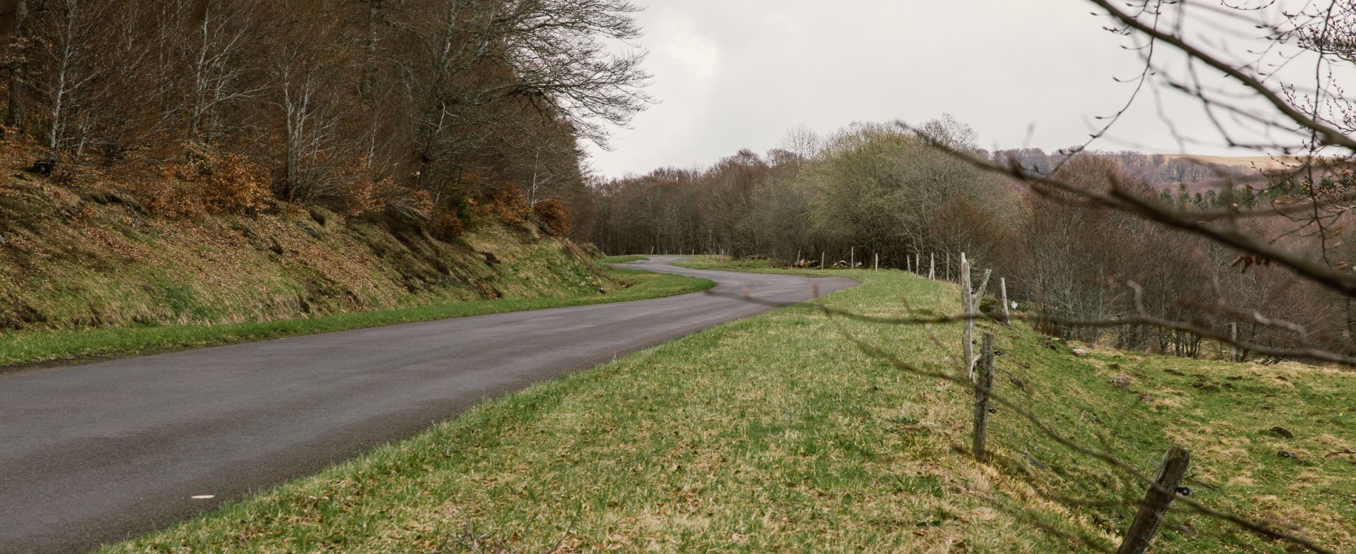 D149 - Parc des Volcans
