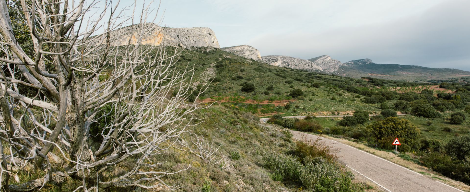 A1301 - Borja - Illueca