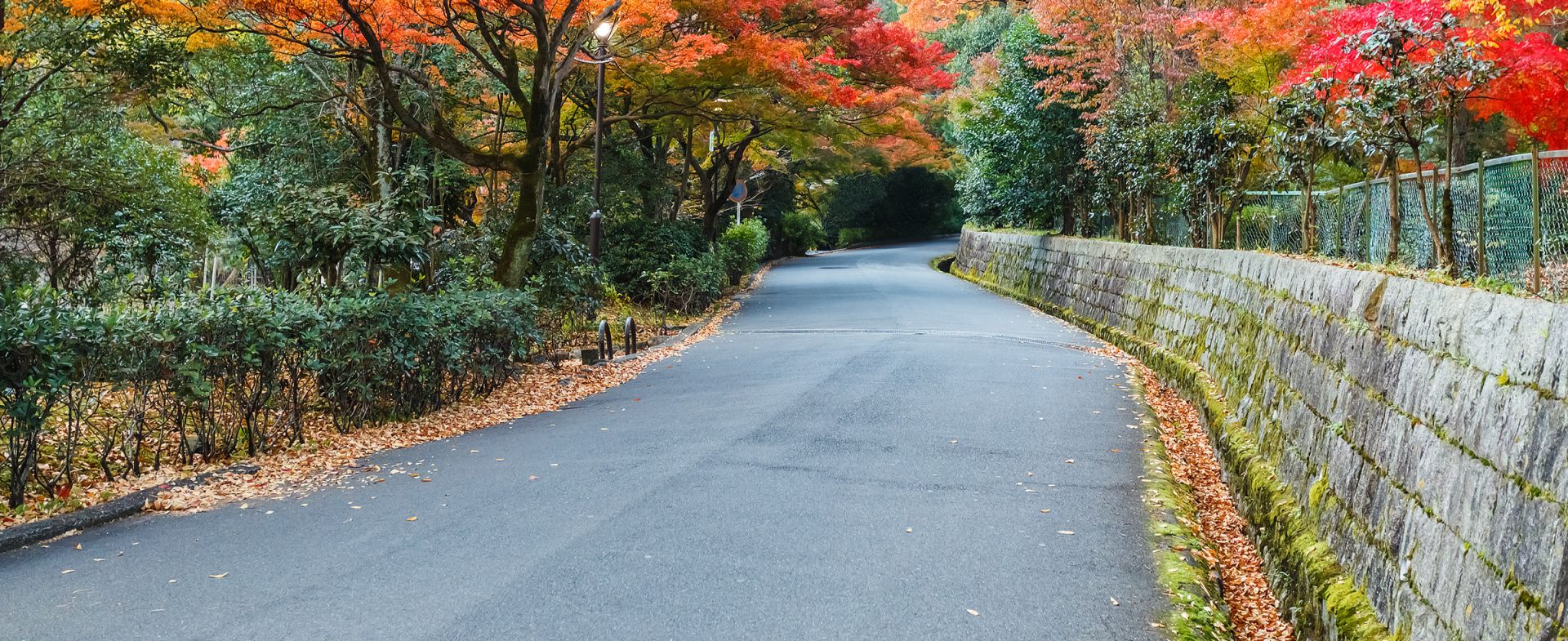Road 362 in Shizuoka Prefecture