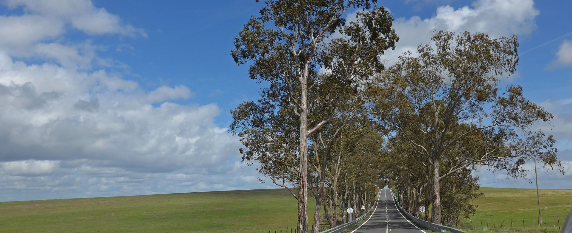 N123 Alentejo Road