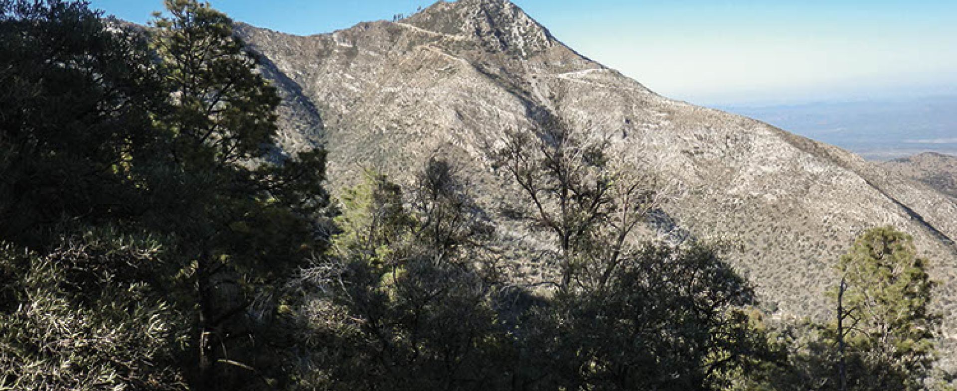 Old Mount Lemmon Road Motorcycle Diaries