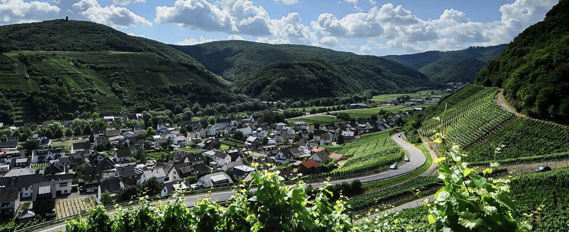 K35 - Vineyards Road - Dernau