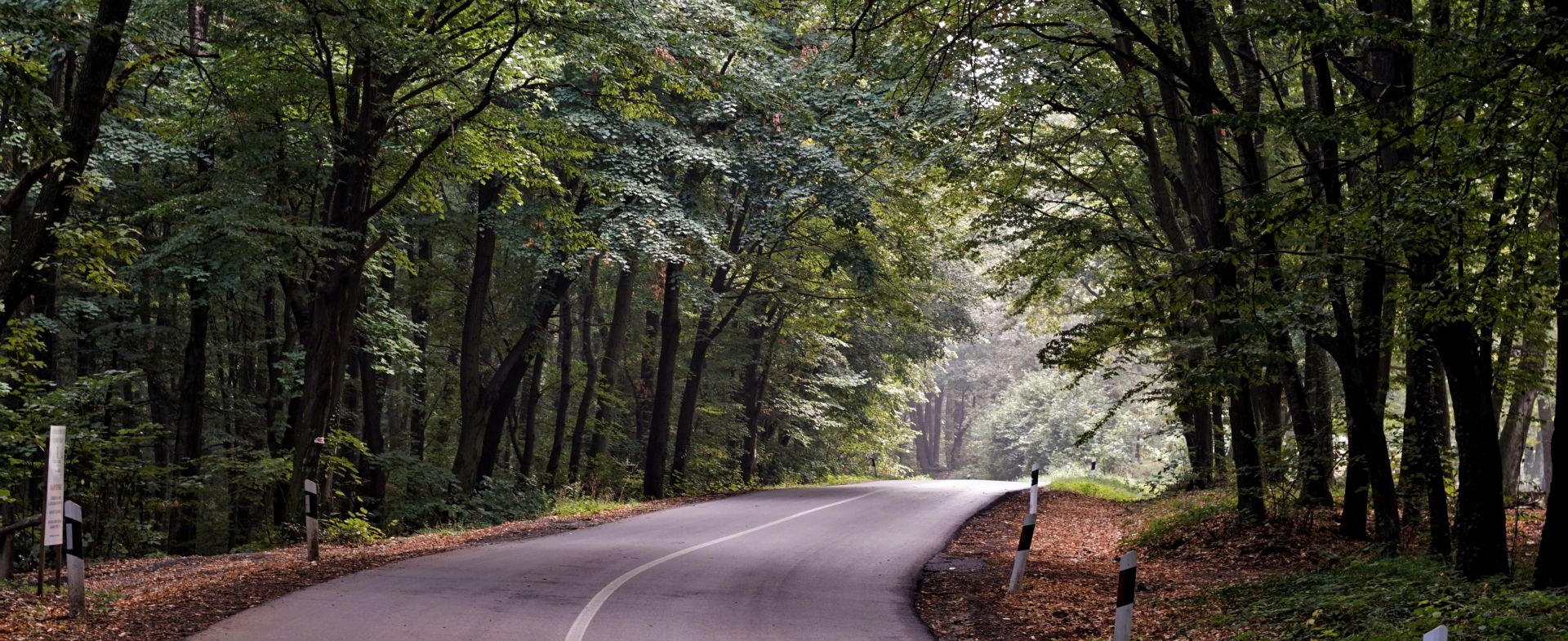 Partisan road